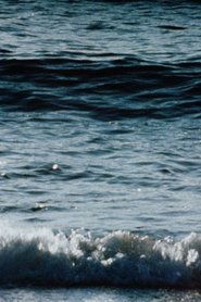 Poster Red Sea 1982