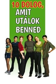 10 dolog, amit utálok benned poszter