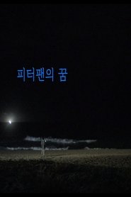 Poster 피터팬의 꿈