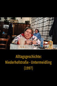 Alltagsgeschichte – Niederhofstraße Untermeidling