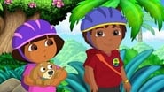 Dora and Perrito to the Rescue