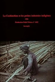Poster for La Cochinchine et les petites industries indigènes