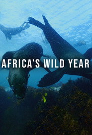 Africa's Wild Year (2021)