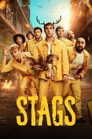 Stags poster