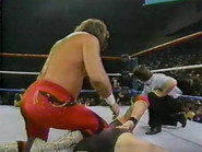 December 10, 1988 - Superstars of Wrestling 119