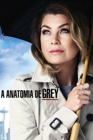 Image Grey's Anatomy