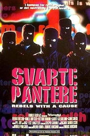 Svarte pantere