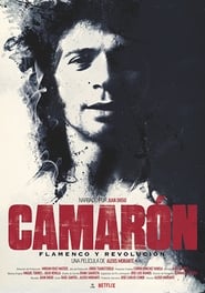 Camarón: Flamenco y revolución ネタバレ