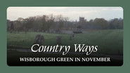 Wisborough Green in November