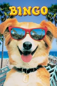 Bingo - Film 1991 streaming Bingo - Film 1991 streaming