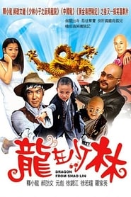 Dragon in Shaolin постер