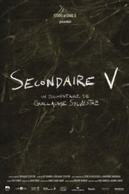 Poster Secondaire V 2013