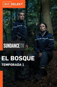 Póster de El bosque Temporada 1