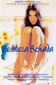 Belleza robada poster