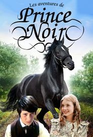 Voir Les Aventures de Prince Noir serie en streaming