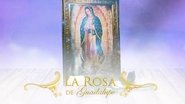 Poster La Rosa De Guadalupe - Season 1 Episode 8 : Episode 8 2020