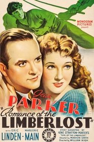 Poster Romance of the Limberlost 1938