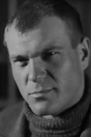 Vladimir Voyshvillo