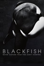  Blackfish