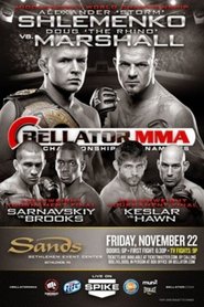 Poster Bellator 109 2013