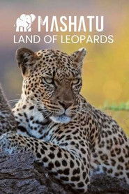 Mashatu, terre de léopards