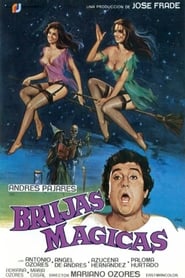 Brujas mágicas (1981)