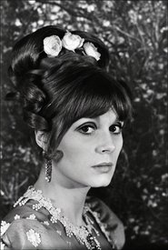 Poster The Double Contempt 1967