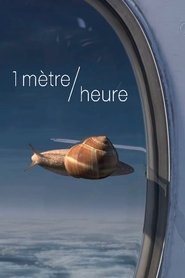 Poster 1 mètre/heure 2018