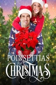 Poinsettias for Christmas постер