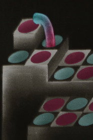 Les Sommets du cinéma d'animation