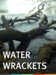 Poster Water Wrackets