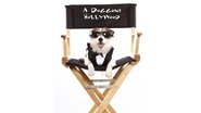 A Doggone Hollywood en streaming