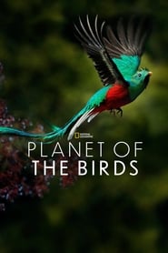 Poster Planet der Vögel
