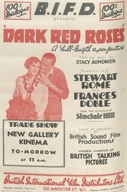 Poster Dark Red Roses