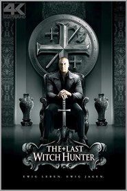 The Last Witch Hunter (2015)