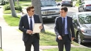 Imagen Bones 10x20