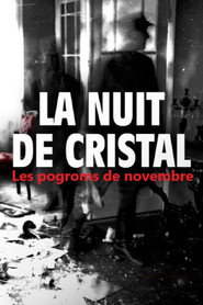 La Nuit de cristal : Les pogroms de novembre (2025)