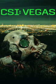 CSI: Vegas Season 1 3