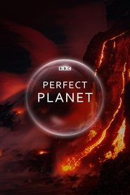 A Perfect Planet A Perfect Planet