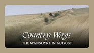 The Wansdyke in August