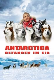 Poster Antarctica - Gefangen im Eis