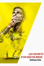 Poster Emiliano Sala, les secrets d'un destin brisé 2019