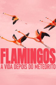Assistir Flamingos: A Vida Depois do Meteorito