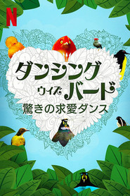ダンシング・ウィズ・バード 驚きの求愛ダンス