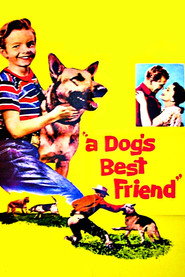 A Dog's Best Friend