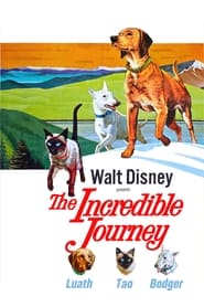 The Incredible Journey постер