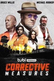 Poster Corrective Measures 2022