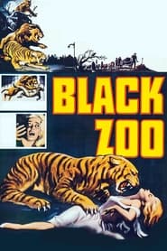 Poster Black Zoo