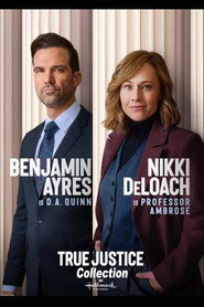 True Justice Collection collection poster