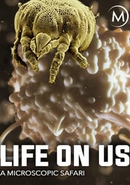 Life on Us: A Microscopic Safari